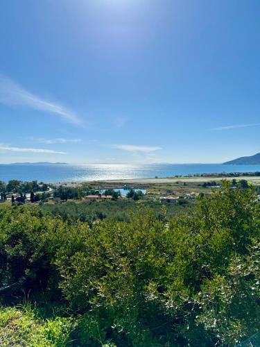 a view of the ocean from a field at Villa Margarita in Samos