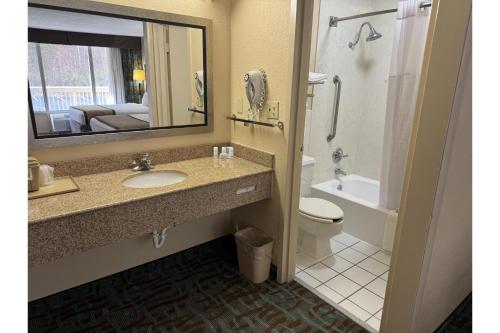 a bathroom with a sink and a toilet and a mirror at OYO Hotel Harriman in Harriman