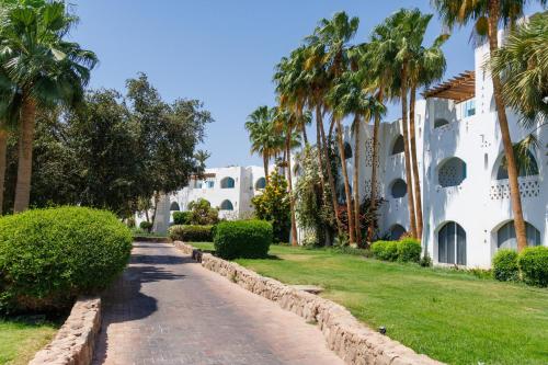 Zahrada ubytování Casa Oliva - Domina Coral Bay