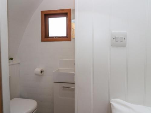 ein weißes Bad mit einem WC und einem Fenster in der Unterkunft Pod No 19 in Keswick