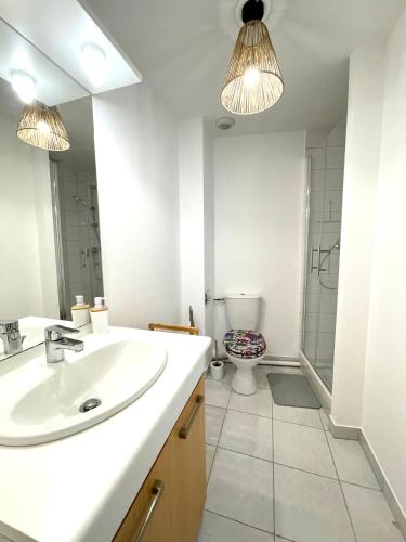 une salle de bain avec un lavabo et des toilettes dans l'établissement Le Grand Saint Aspais - 5 Personnes -, à Melun