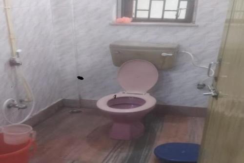 a bathroom with a pink toilet with a window at New Happy palace Inn Gaya Near By Mahabodhi Temple in Gaya