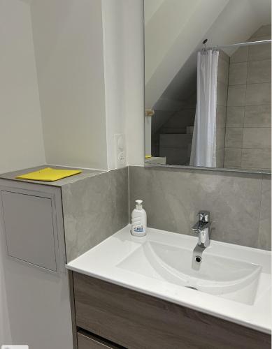 une salle de bain avec un lavabo et un miroir dans l'établissement Aux cigogneaux, à Guémar