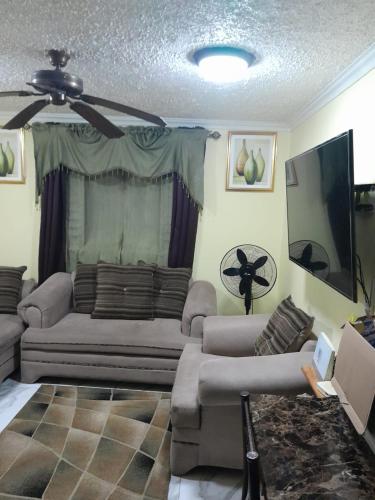 a living room with a couch and a ceiling fan at Shauna apartment in Charlton