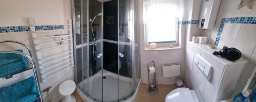 a bathroom with a glass shower and a toilet at Casa Mia 40 am See in Joachimsthal
