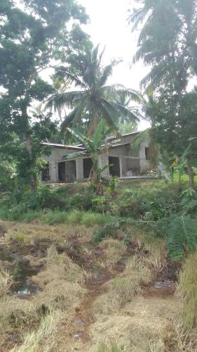 una casa vieja en un campo con una palmera en Private home vila, en Galle