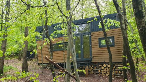 eine Blockhütte im Wald mit Bäumen in der Unterkunft POP Tiny House Mátra in Mátraszentimre