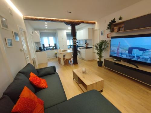 a living room with a couch and a large flat screen tv at Apartamento La Carola in Bilbao