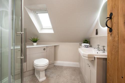 a bathroom with a toilet and a sink and a skylight at Mill Cottage, Brockmill Farm in Berwick-Upon-Tweed