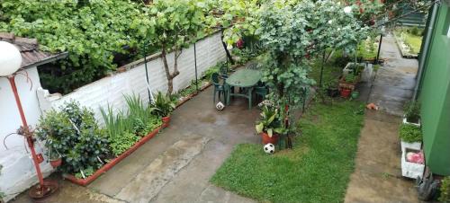een uitzicht over de tuin met een tafel en planten bij Eko Vlasina in Vlasotince