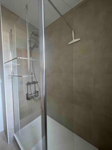 une douche avec une porte vitrée dans une salle de bain dans l'établissement La Liberté-centre-ville-proche-Gare, à Rennes