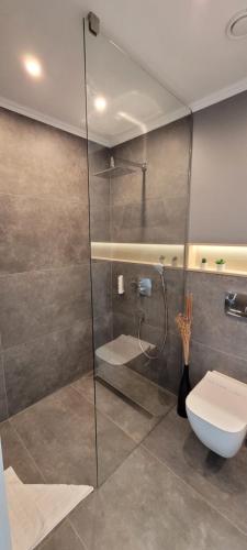 a bathroom with a glass shower with a toilet at Major Residence in Tihany