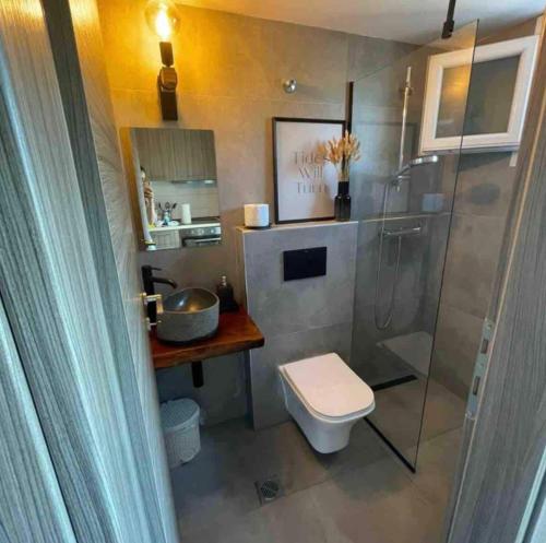 a bathroom with a shower and a toilet and a sink at Town House - Ocean View in Nikiti
