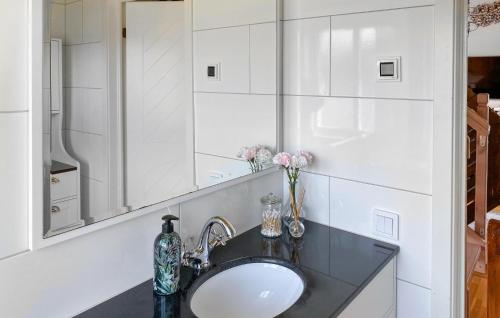 a bathroom with a sink and a mirror at 5 Bedroom Stunning Home In Köpingsvik in Köpingsvik