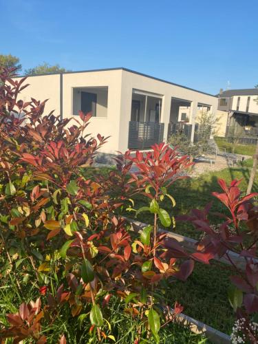 Mobilheim-Pia Superb, mit Pool, Top für Familien mit Kindern