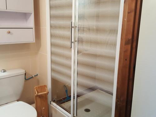 La salle de bains est pourvue d'une douche en verre et de toilettes. dans l'établissement Studio au dernier étage avec balcon, Wifi et parking à Brides-les-Bains - FR-1-512-276, à Brides-les-Bains