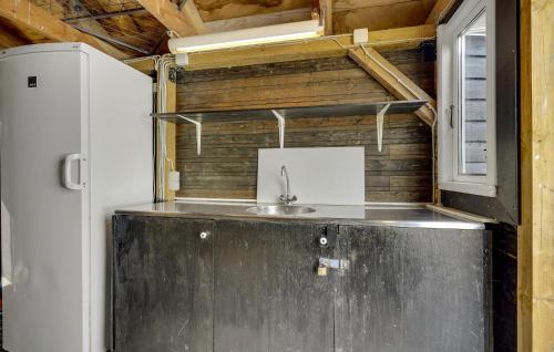 kuchnia ze zlewem i lodówką w obiekcie Pet Friendly Home In Rudkbing With Sauna w mieście Spodsbjerg
