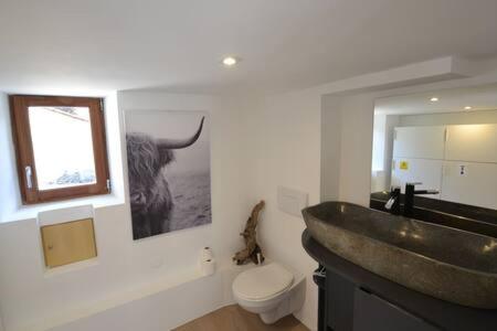 een badkamer met wastafel en toilet bij Skyfall Maison in Valcebollère