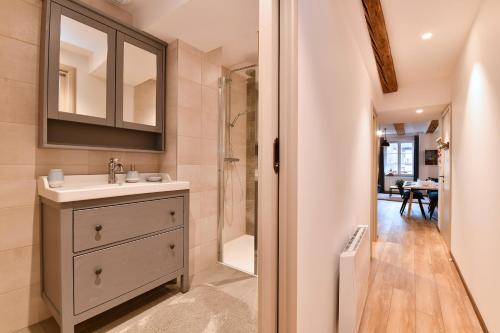 La salle de bains est pourvue d'un lavabo et d'une douche. dans l'établissement Appartement My Way, à Colmar
