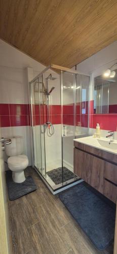 a bathroom with a shower and a toilet and a sink at Quinta do Limite - Casa do Camponês in Covilhã