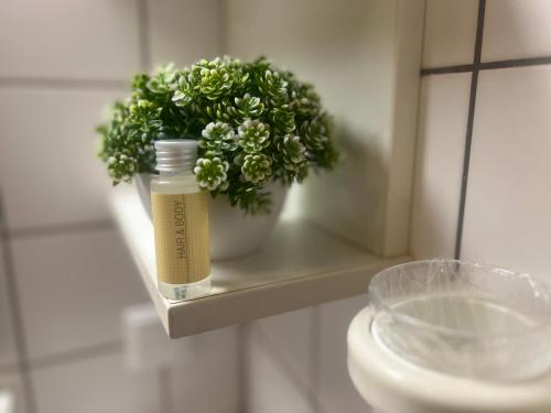 a vase with a plant on a shelf in a bathroom at Hotel Cronberger Hof in Ladenburg