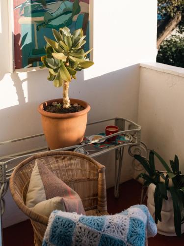 Ruang duduk di Bonne Esperance, Simon's Town