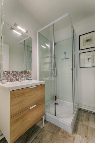 une salle de bain avec une douche en verre et un lavabo dans l'établissement Le Coquillage Bleu, charmant 2 pièces, proche plages et commerces, à Cabourg