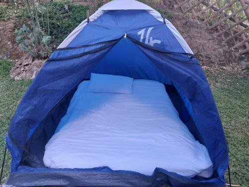 a blue tent with a bed in it at Stone Camp Naivasha in Naivasha