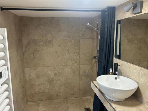 a bathroom with a sink and a shower at Les 3 Flocons Roure in Roure