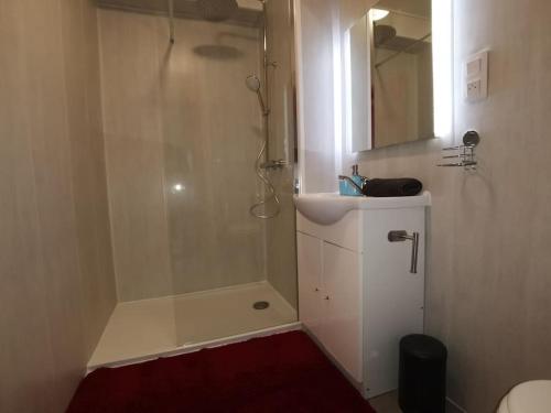 une salle de bain avec une douche, un lavabo et un miroir dans l'établissement n1 F2 40m2 avec petit jardin, à Hérouville-Saint-Clair