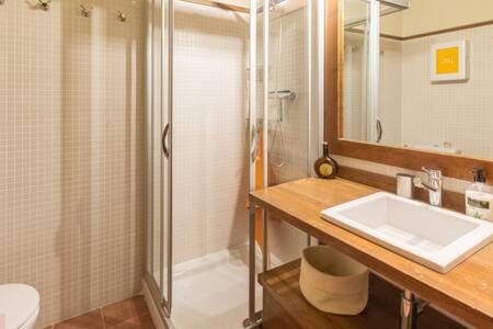 a bathroom with a shower and a sink and a toilet at Apartament les Carrerades in Estavar