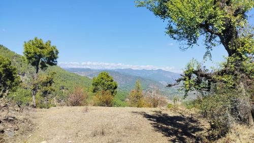 a view of a dirt road in the mountains at Adaara Retreat - Pet Friendly Cottages, Almora in Almora