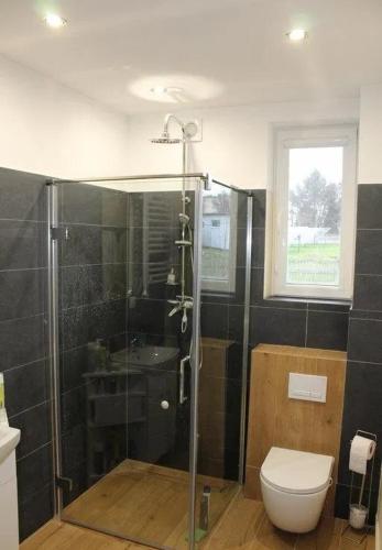 a bathroom with a shower and a toilet at Apartament u Jędrusia in Żywiec