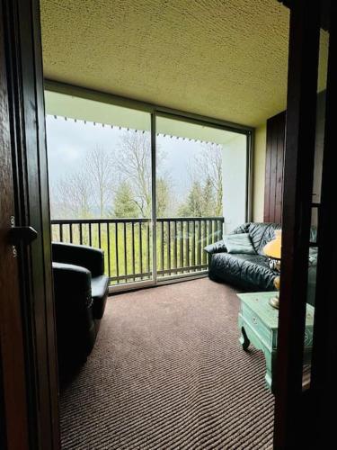Le Seydrad, appartement vue nature, hauteurs de Gérardmer