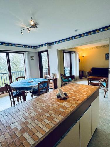 Le Seydrad, appartement vue nature, hauteurs de Gérardmer