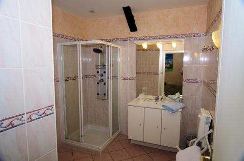 een badkamer met een douche en een wastafel bij Le domaine de l'Escadasse in Faycelles