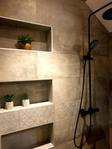 La salle de bains est pourvue d'étagères et d'une douche avec des plantes. dans l'établissement Superbe T3 Neuf avec terrasse + vue montagne, à Briançon