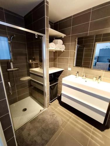 une salle de bain avec douche et lavabo dans l'établissement Péssicart - T2 avec terrasse - Résidence avec piscine, à Nice