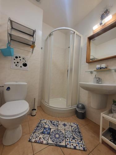 a bathroom with a shower and a toilet and a sink at Ubytování pod Pradědem - Karlov pod Pradědem in Bruntál