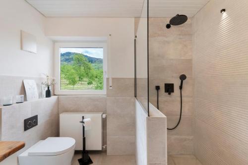 a bathroom with a toilet and a shower with a window at Dasensteinblick in Kappelrodeck