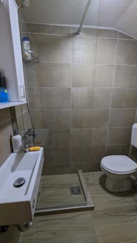 uma casa de banho com um WC e um lavatório em Apartman Baco em Žabljak