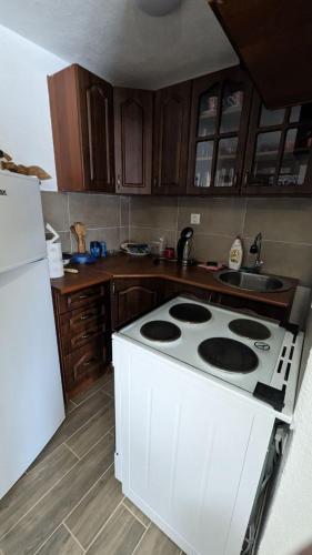 uma cozinha com um fogão branco e um frigorífico branco em Apartman Baco em Žabljak