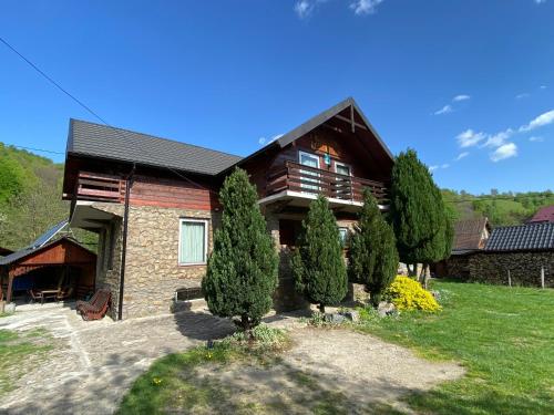 a house with trees in front of it at Casa Morar in Valea Drăganului