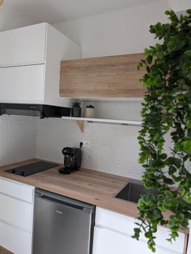 une cuisine avec un comptoir, un évier et une plante dans l'établissement Appartement cosy au calme à cote du zoo avec balcon et parking securisé, à Montpellier