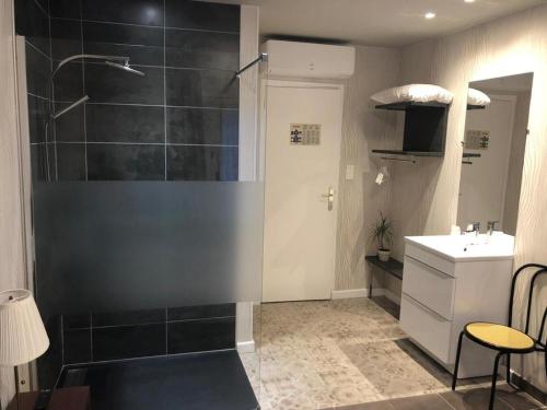a bathroom with a shower and a sink at Domaine de la Palle in Pontgibaud
