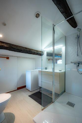 une salle de bain avec une douche en verre et des toilettes dans l'établissement La cachette historique 3 chambres, à Chambéry