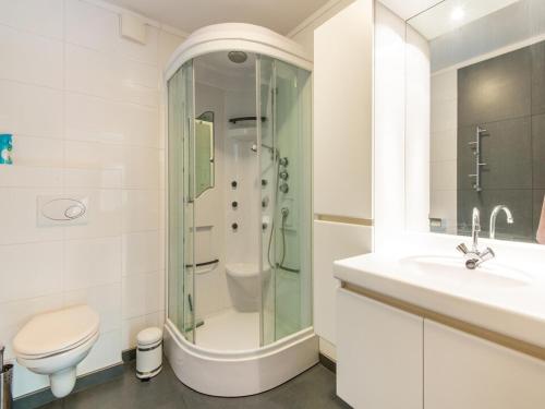 a bathroom with a shower and a toilet and a sink at SkiJuwel Appartments Auffach - Wildschönau - Tirol in Auffach