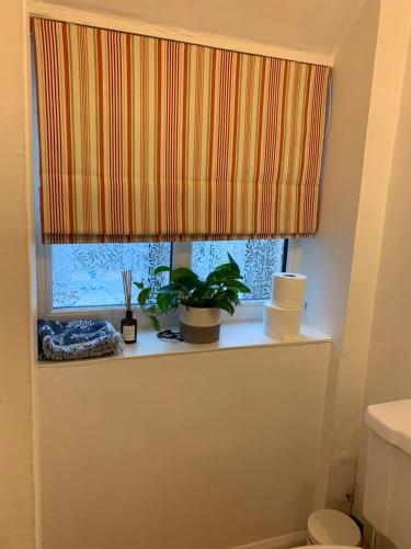 a bathroom with a window with a curtain and a plant at Rose Cottage, 4 The Hill in Burford