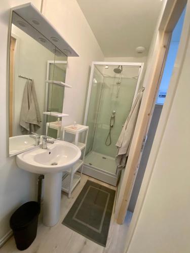 une salle de bain avec un lavabo et une douche dans l'établissement 104 Studio Immeuble Persévérance, à Conflans-en-Jarnisy