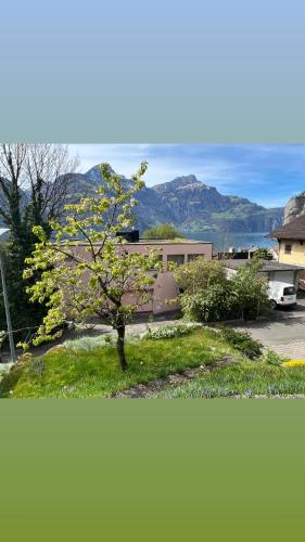 a tree in the middle of a yard with a house at Wohnung „Perla Paradiso“ in Fluelen